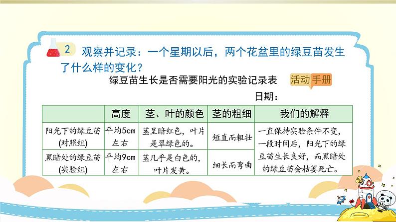 小学科学教科版五年级下册第一单元第3课《绿豆苗的生长》课件8（2022新版）第7页