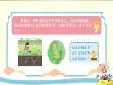 小學科學冀教版三年級下冊第5課《昆蟲》課件2（2020新版）