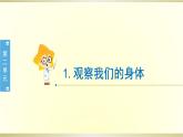 小学科学教科版二年级下册第二单元第1课《观察我们的身体》课件6