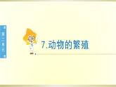 小学科学教科版三年级下册第二单元第7课《动物的繁殖》课件8（2020新版）