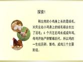 小学科学教科版三年级下册第二单元第8课《动物的一生》课件8（2020新版）