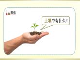 小学科学教科版四年级下册第三单元第6课《观察土壤》课件8（2021新版）