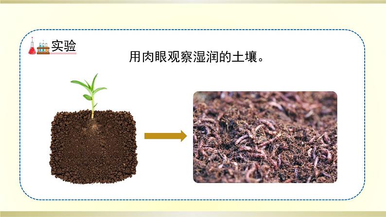 小学科学教科版四年级下册第三单元第6课《观察土壤》课件8（2021新版）第5页