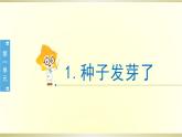 小學(xué)科學(xué)蘇教版三年級(jí)下冊(cè)第1課《種子發(fā)芽了》課件8（2020新版）