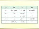 小學(xué)科學(xué)蘇教版三年級(jí)下冊(cè)第1課《種子發(fā)芽了》課件8（2020新版）