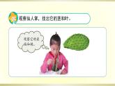 小學(xué)科學(xué)蘇教版三年級(jí)下冊(cè)第6課《沙漠中的植物》課件8（2020新版）