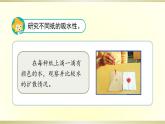 小学科学苏教版三年级下册第13课《纸》课件8（2020新版）