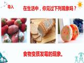 1.3 发霉与防霉课件