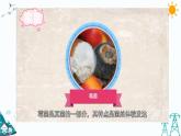 1.3 发霉与防霉课件