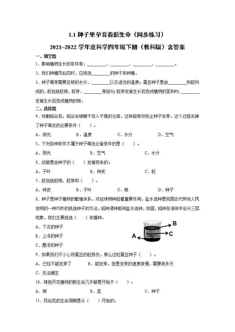 科学四年级下册1.1种子里孕育着新生命（同步练习）（含答案）01