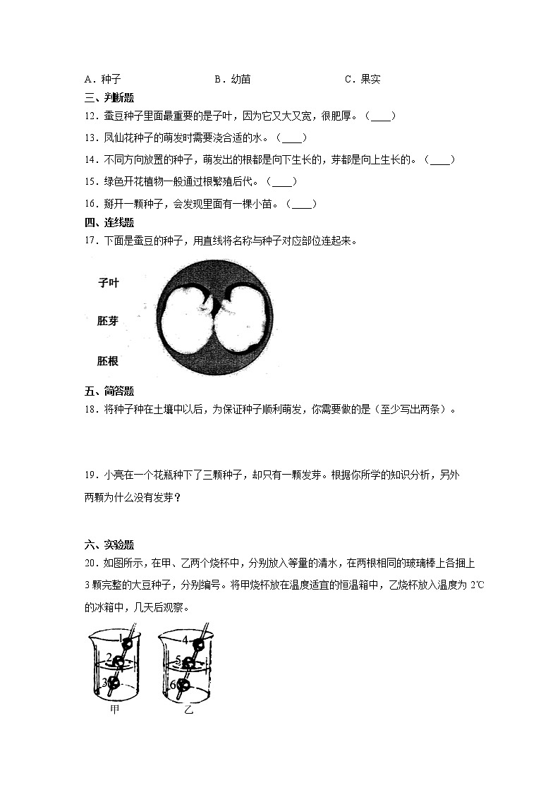 科学四年级下册1.1种子里孕育着新生命（同步练习）（含答案）02