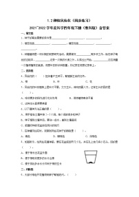 科学四年级下册2.种植凤仙花优秀精练