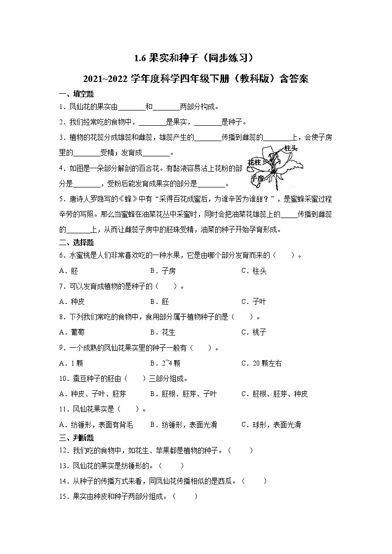 科学四年级下册1.6果实和种子（同步练习）（含答案）01