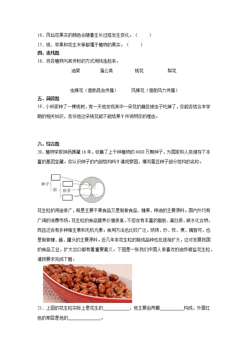 科学四年级下册1.6果实和种子（同步练习）（含答案）02
