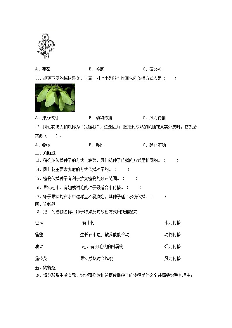 教科版（2017秋）2021--2022学年度科学四年级下册1.7种子的传播（同步练习）（含答案）第2页