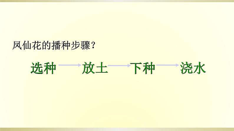 小学科学教科版四年级下册第一单元第2课《种植凤仙花》课件6（2021新版）第4页