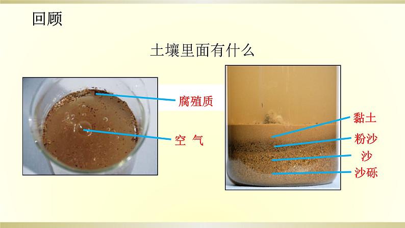 小学科学教科版四年级下册第三单元第7课《比较不同的土壤》课件6（2021新版）第2页