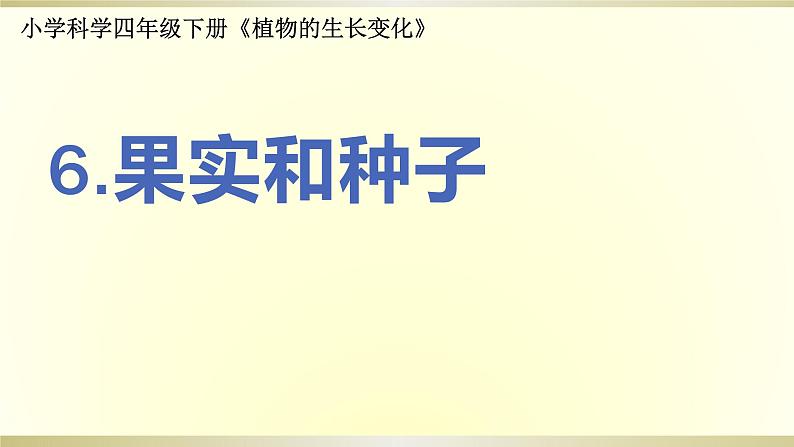 小学科学教科版四年级下册第一单元第6课《果实和种子》课件6（2021新版）第1页