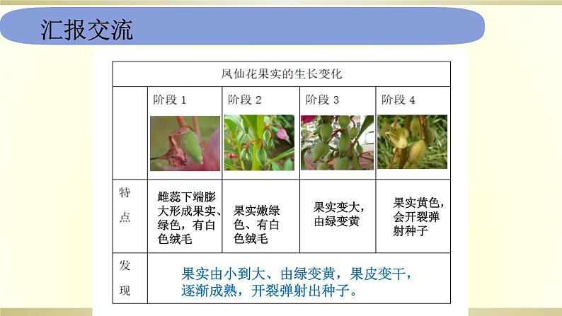 小学科学教科版四年级下册第一单元第6课《果实和种子》课件6（2021新版）第6页