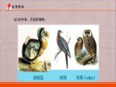《多样的生物》PPT
