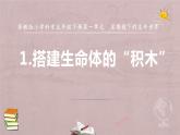 小學(xué)科學(xué)蘇教版五年級(jí)下冊(cè)第一單元第1課《搭建生命體的“積木”》課件（2022新版）