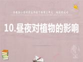 小學(xué)科學(xué)蘇教版五年級下冊第三單元第10課《晝夜對植物的影響》課件（2022新版）