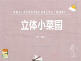 小學科學蘇教版五年級下冊STEM學習《立體小菜園》課件（2022新版）
