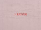 小學科學蘇教版五年級下冊第一單元第3課《發(fā)霉與防霉》課件（2022新版）