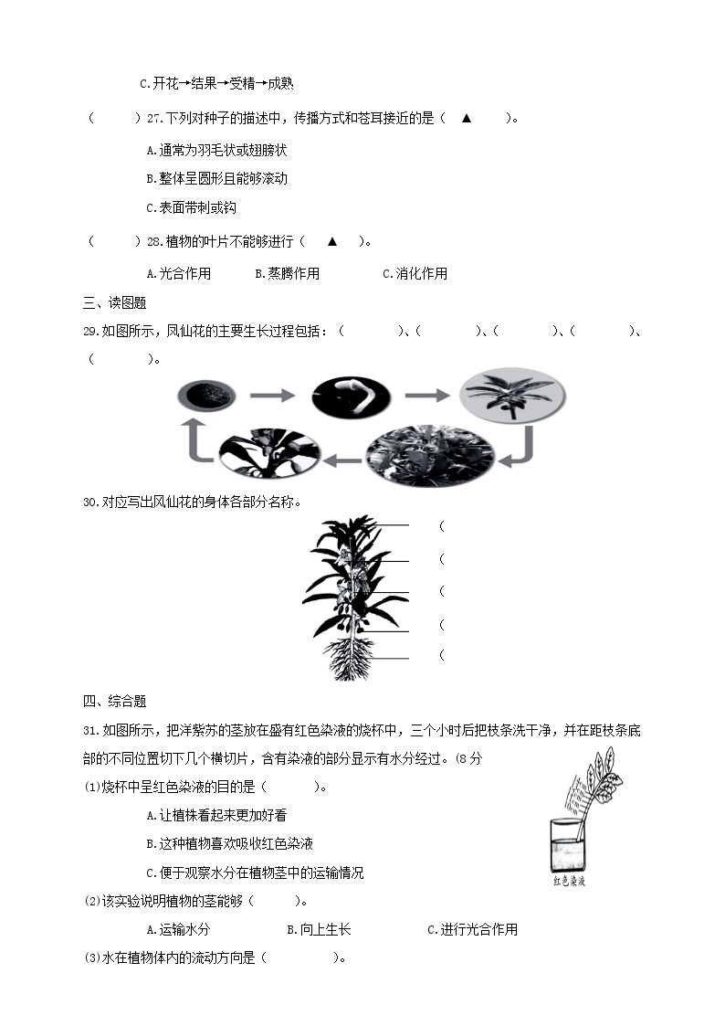 4教科版（2017秋）四年级科学下册双减政策下第一单元植物的生长变化摸底练习A(含答案）03