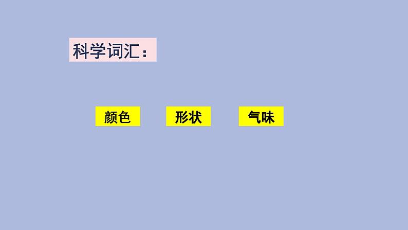 一年级下册科学课件-1.1 发现物体的特征 教科版第7页