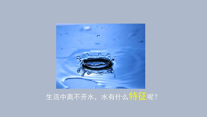 一年级下册科学课件-1.5+观察一瓶水+教科版05