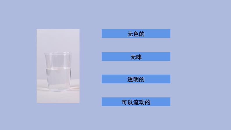 一年级下册科学课件-1.6 它们去哪里了  教科版第2页
