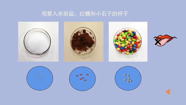 一年级下册科学课件-1.6 它们去哪里了  教科版第6页