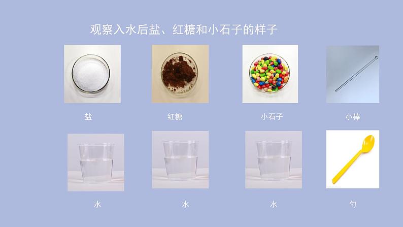 一年级下册科学课件-1.6 它们去哪里了  教科版第8页