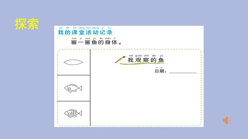 一年级下册科学课件-2.5+观察鱼+教科版04