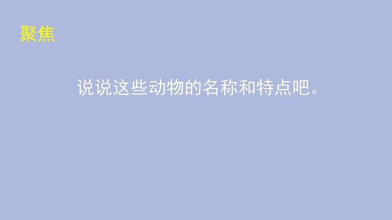 一年级下册科学课件-2.6 给动物分类 教科版第2页