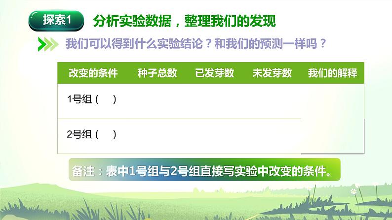 教科版(2017)科学五年级下册1.2《比较种子发芽实验》课件+教案04