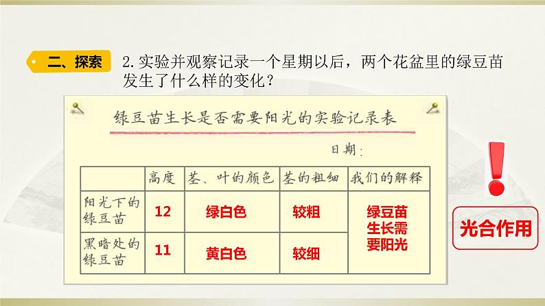 小学科学教科版五年级下册第一单元第3课《绿豆苗的生长》课件12（2022新版）第5页