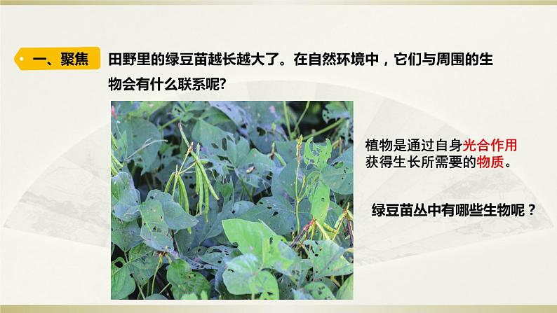 小学科学教科版五年级下册第一单元第6课《食物链和食物网》课件12（2022新版）第2页