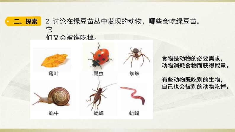 小学科学教科版五年级下册第一单元第6课《食物链和食物网》课件12（2022新版）第4页