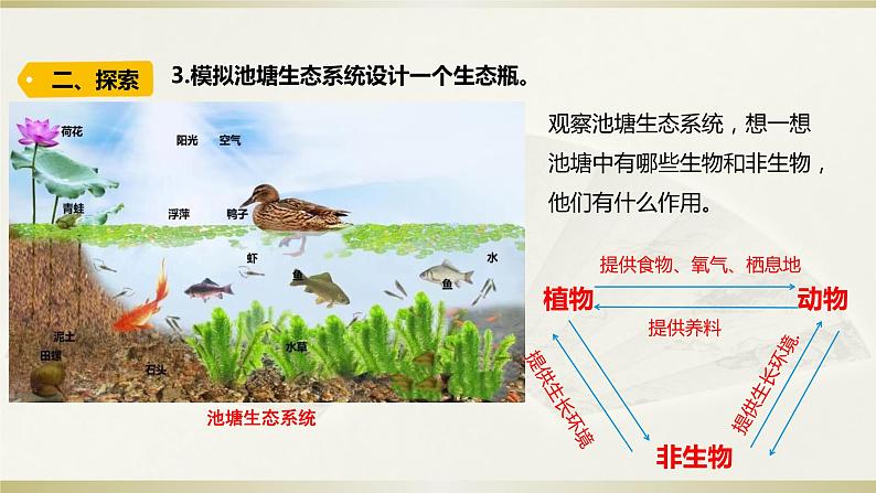 小学科学教科版五年级下册第一单元第7课《设计和制作生态瓶》课件12（2022新版）06