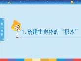 蘇教版五下科學(xué)1.1《搭建生命體的“積木”》授課課件