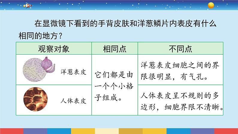 苏教版五下科学1.1《搭建生命体的“积木”》授课课件04