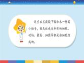 蘇教版五下科學(xué)1.1《搭建生命體的“積木”》授課課件