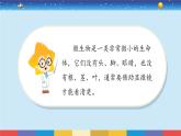 苏教版五下科学1.2《微小的生命体》授课课件