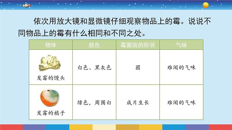 苏教版五下科学1.3《发霉与防霉》授课课件第2页