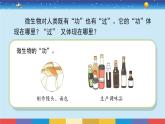 苏教版五下科学1.4《微生物的“功”与“过”》授课课件