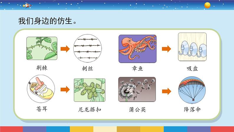 苏教版五下科学2.5《生物的启示》授课课件第3页