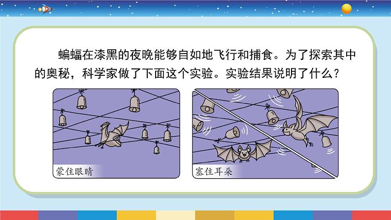 苏教版五下科学2.7《蝙蝠和雷达》授课课件02