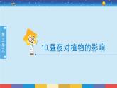 蘇教版五下科學(xué)3.10《晝夜對植物的影響》授課課件